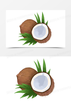 手绘椰子图片素材