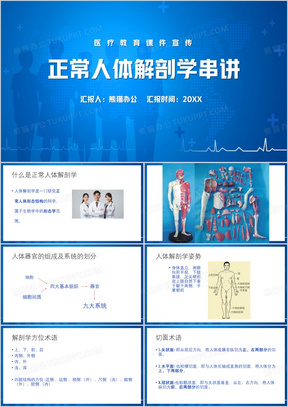 蓝色简约风解剖学复习PPT模板