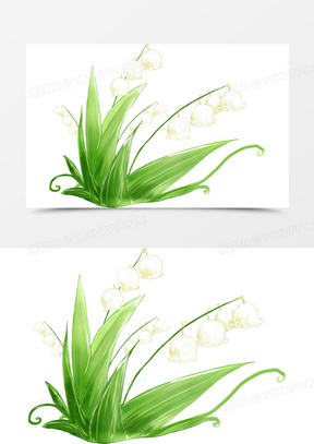 手绘白色铃兰花草植物