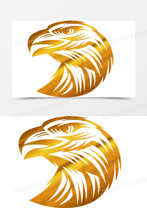 金鹰图片素材