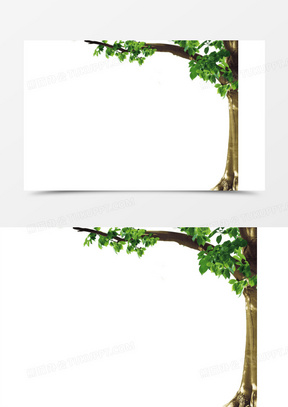 大树树干图片素材