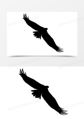 鹰飞翔图片素材