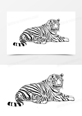 坐着的老虎插画图片