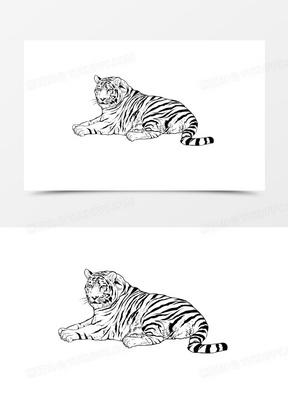 老虎的简单画法 全身图片