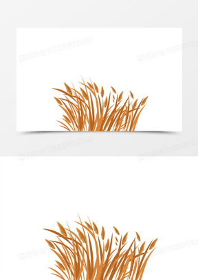 手绘植物芦苇素材