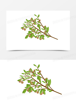 龙眼干图片素材