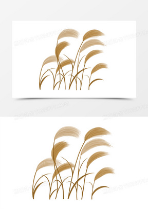 简约手绘插画风芦苇素材370手绘芦苇植物插画免抠素材271卡通手绘芦苇