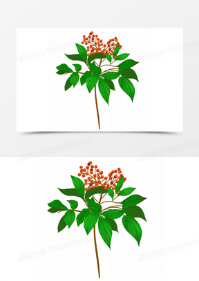 卡通手绘花椒麻椒元素