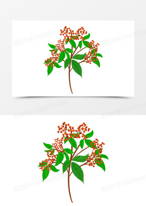 卡通手绘白露花椒元素