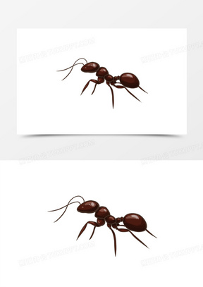 蚂蚁图片卡通可爱绘画