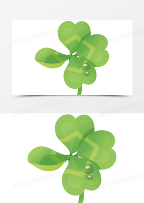 四叶草上的水滴