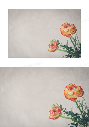 文档背景word插图素材