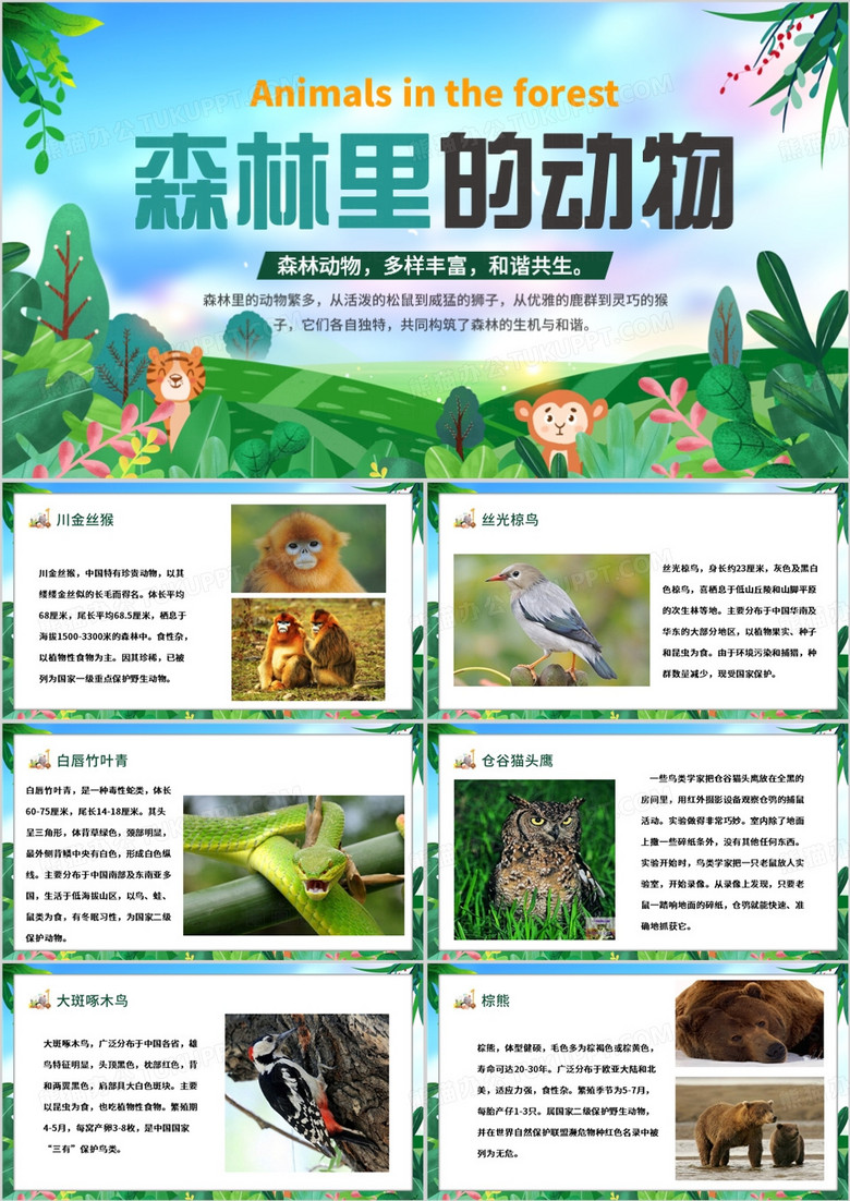 绿色清新风森林里的动物PPT模板