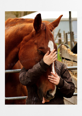 人与马合影图片