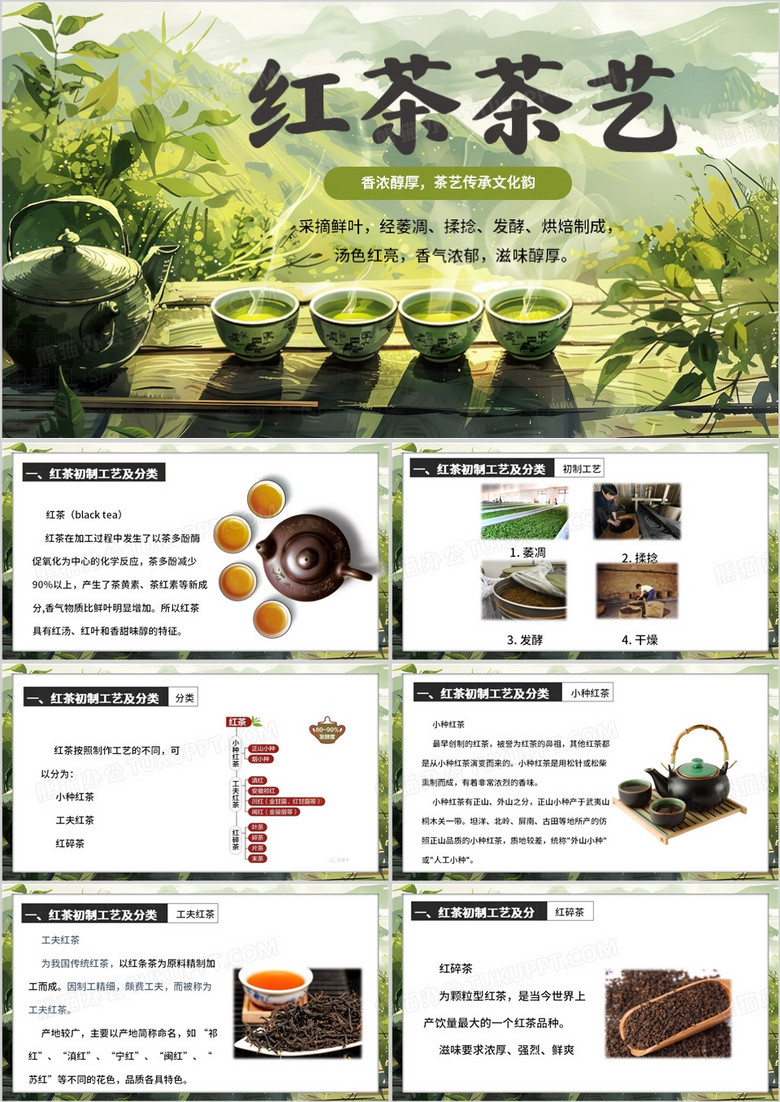 绿色插画风红茶茶艺PPT模板