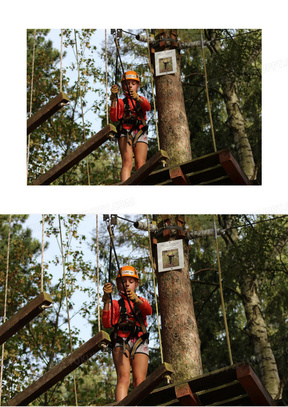 丛林探险素材 丛林探险图片 丛林探险免费模板下载 熊猫办公