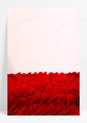 ppt淡雅图片素材