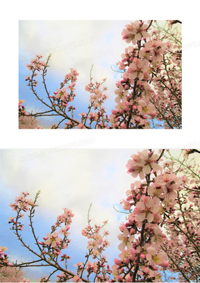 春天景色素材 春天景色图片 春天景色素材图片下载 熊猫办公 春天景色素材 春天景色图片 春天景色素材图片下载 熊猫办公