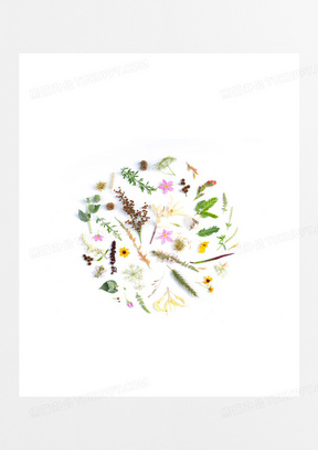 花草背景素材 花草背景图片 花草背景素材图片下载 熊猫办公 花草背景素材 花草背景图片 花草背景素材图片下载 熊猫办公