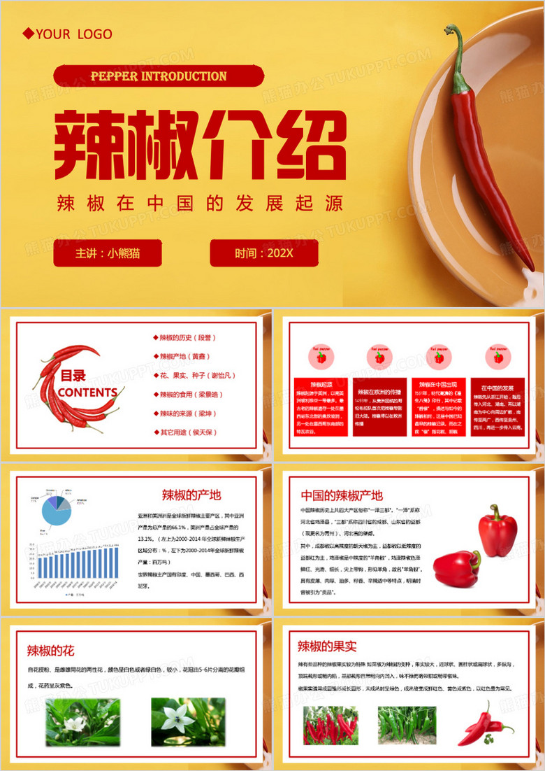 红色简约风辣椒介绍PPT模板