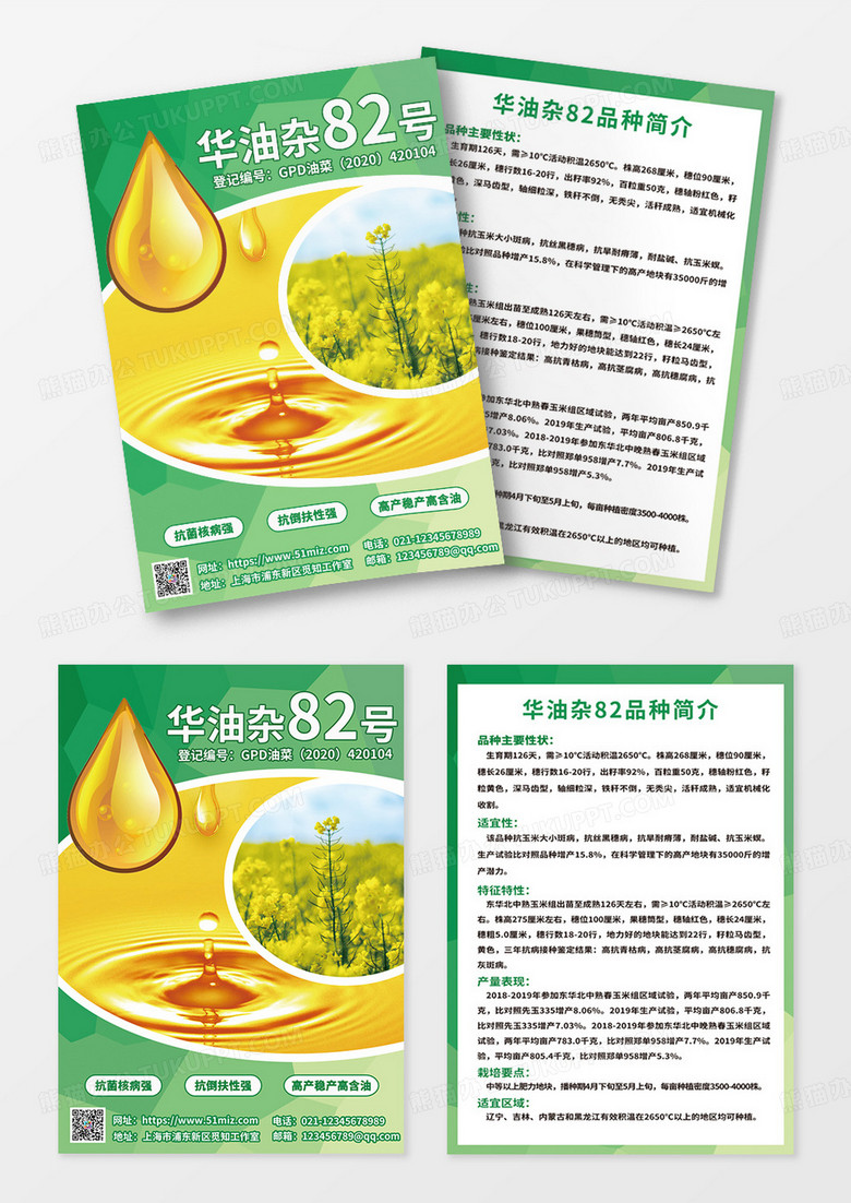 清新简约油菜油种子宣传单