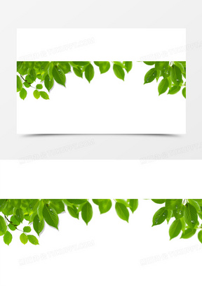 春季黄绿色环保绿叶树枝水滴