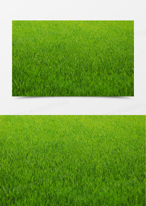 绿草坪手机背景图片图片