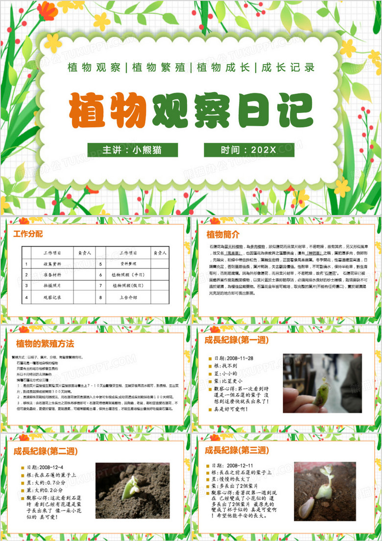 绿色清新风植物观察日记PPT模板