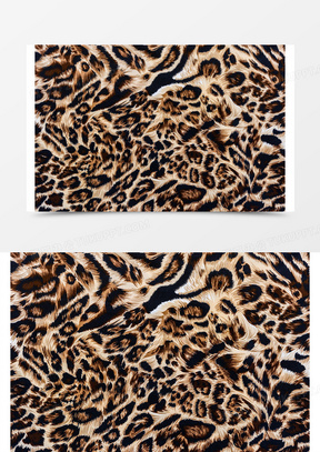 豹子皮毛花纹背景40豹子皮毛纹路背景160彩色时尚豹纹00彩色豹子毛皮