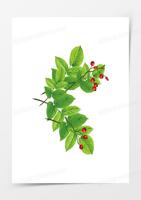 卡通山楂树毕业季