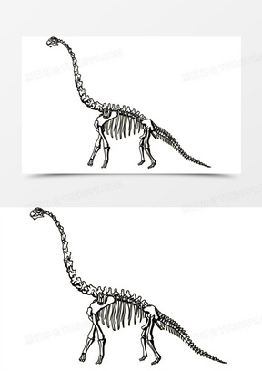 梁龙恐龙化石