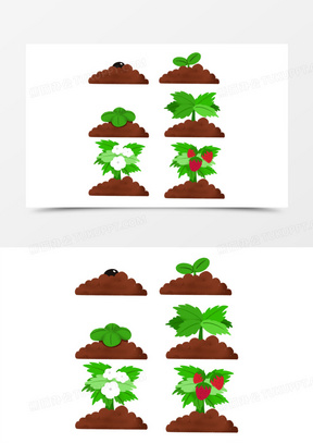 种子成长过程卡通图片