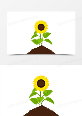 手绘种子生长盛开过程素材