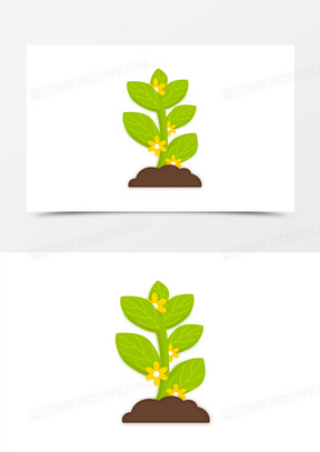 卡通植物种子的开花过程素材