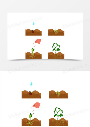 成长元素360一组手绘种子生长过程素材20一组种子生长过程元素441手绘