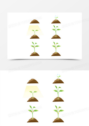 种子发芽简图图片