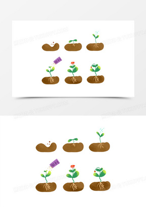 种子生长过程卡通图片图片