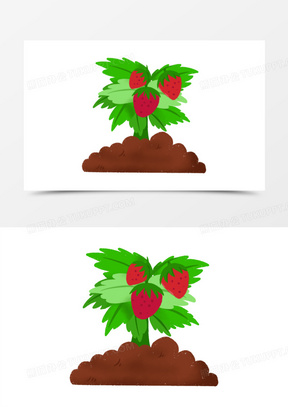 草莓生长过程图卡通图片