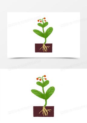 植物生长要素卡通图片