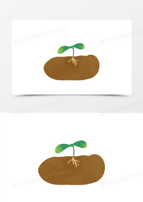 种子发芽期图片卡通图片