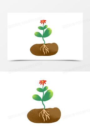 卡通种子图片素材