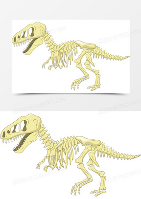 恐龙化石的图片大全简单