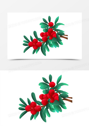 有关杨梅的图片唯美高清