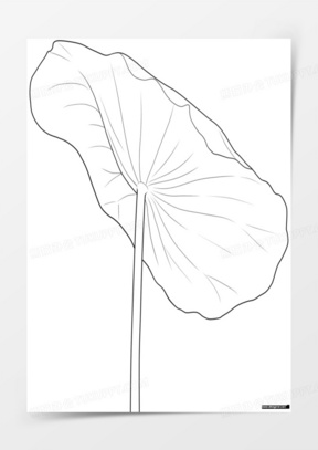 夏天荷叶图片素材