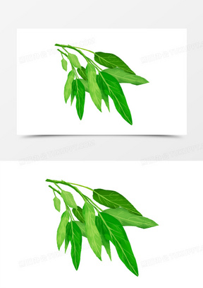 蔬菜叶子素材_蔬菜叶子图片_蔬菜叶子素材图片下载_熊猫办公