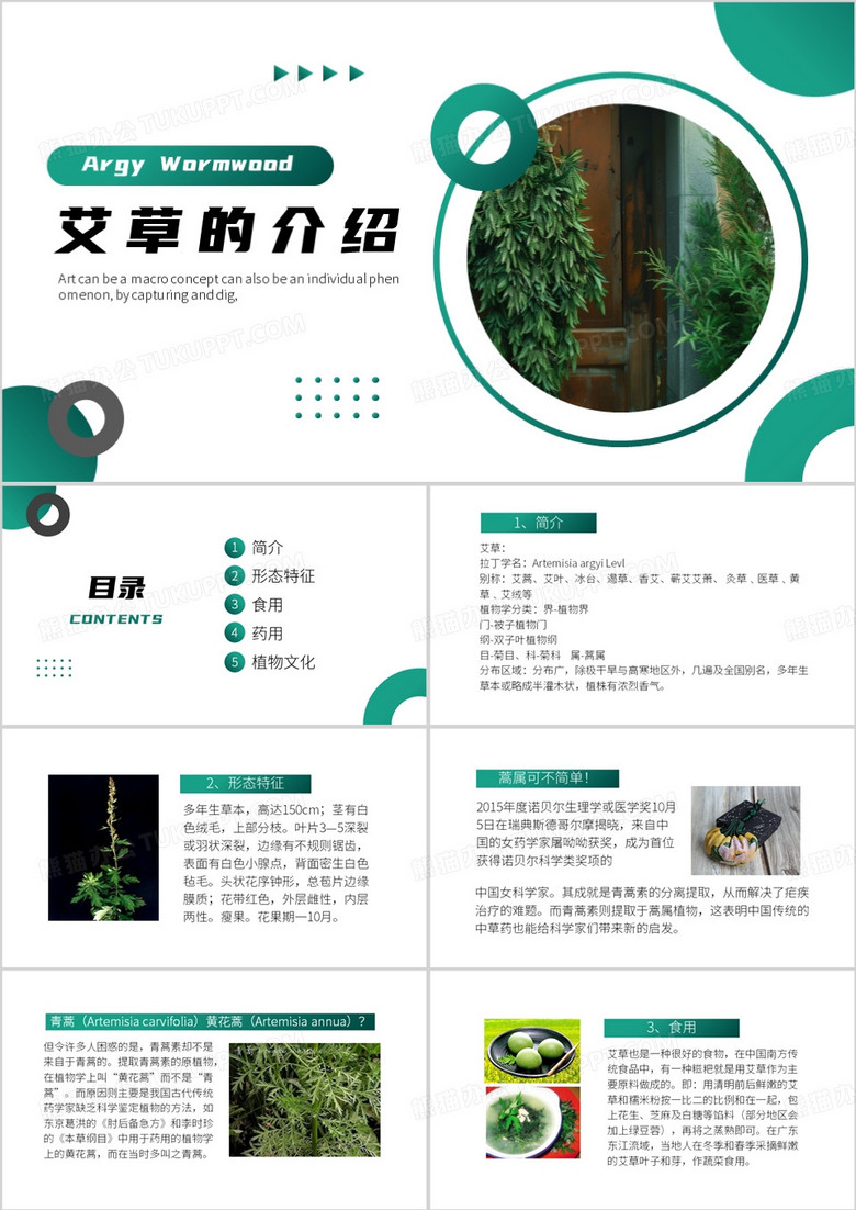 绿色简约风艾草PPT模板