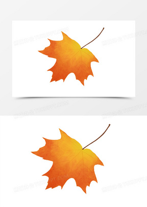 水彩手绘梧桐叶装饰素材