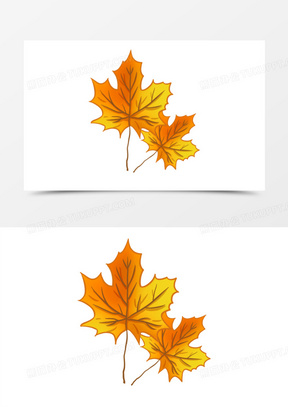 中国梧桐树叶子图片大全大图高清