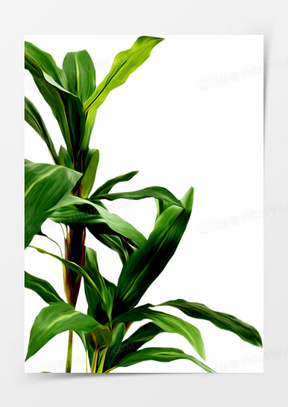 植物景观素材_植物景观图片_植物景观素材图片下载_熊猫办公