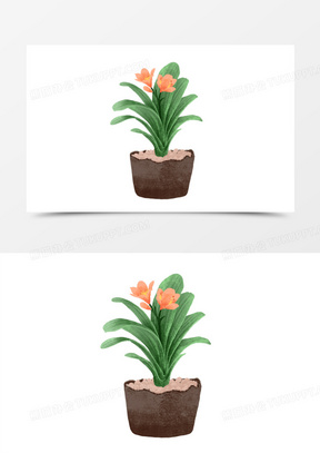 卡通手绘植物君子兰素材